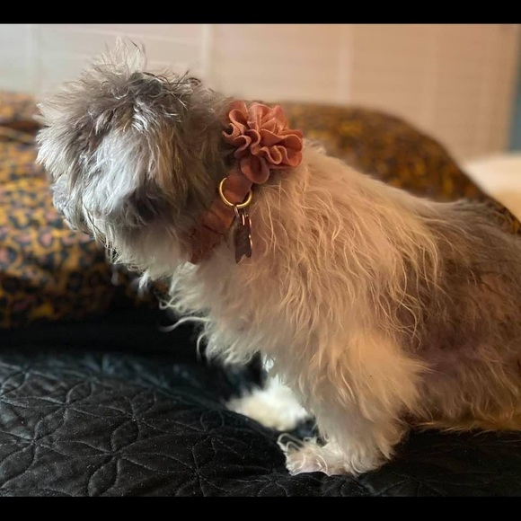 Introvert who likes to shop too much! - Picture 4 of 5